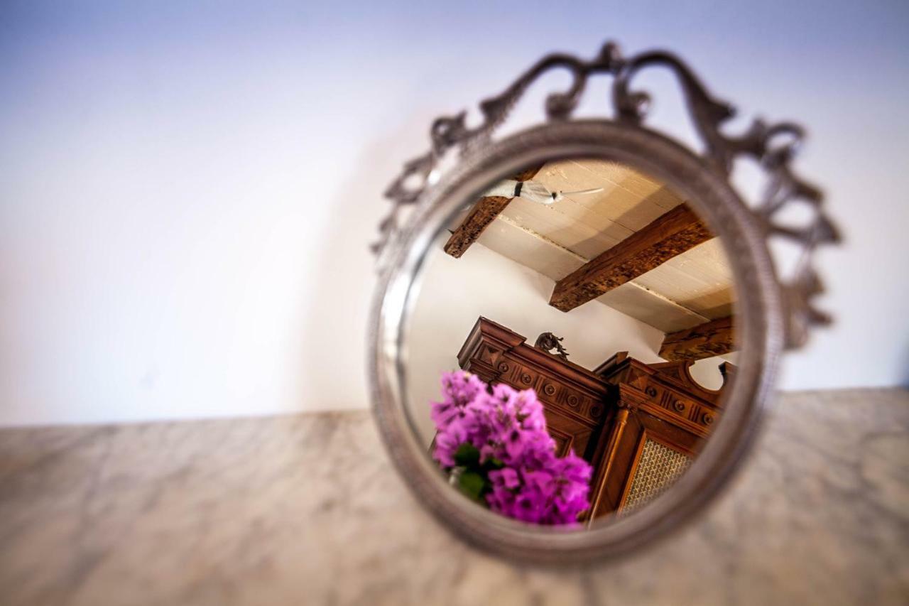 Villa Arboretum Milna  Zewnętrze zdjęcie