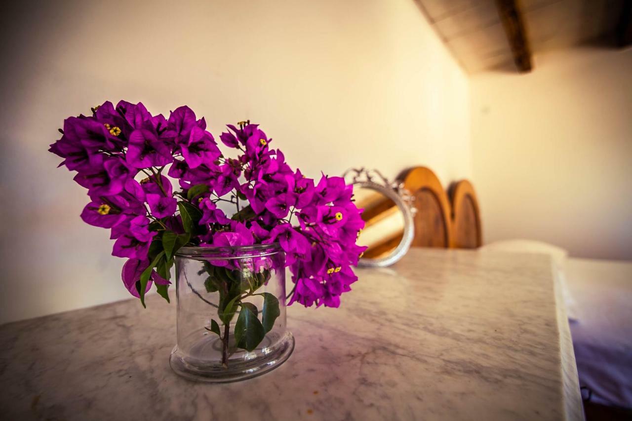 Villa Arboretum Milna  Zewnętrze zdjęcie